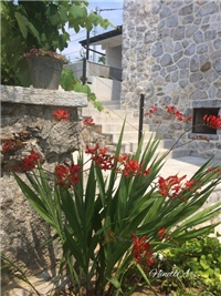 2de631fe-20170623 Ri lucifer.jpg